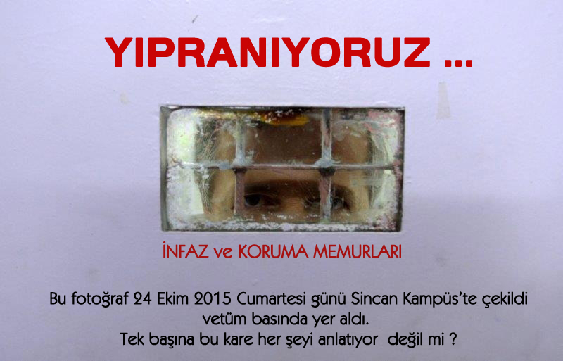 FORUMCİP.jpg
